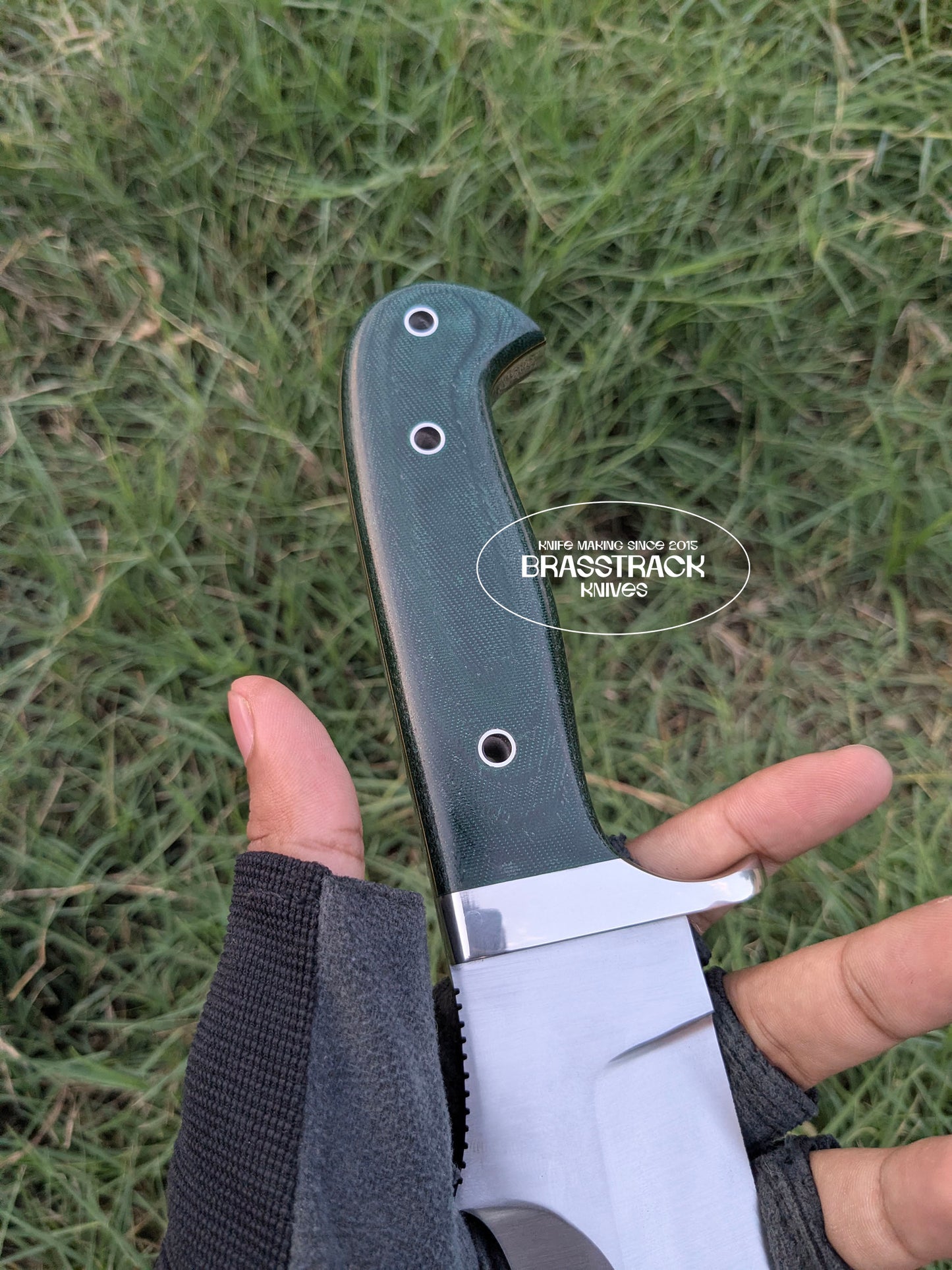 Green Stag