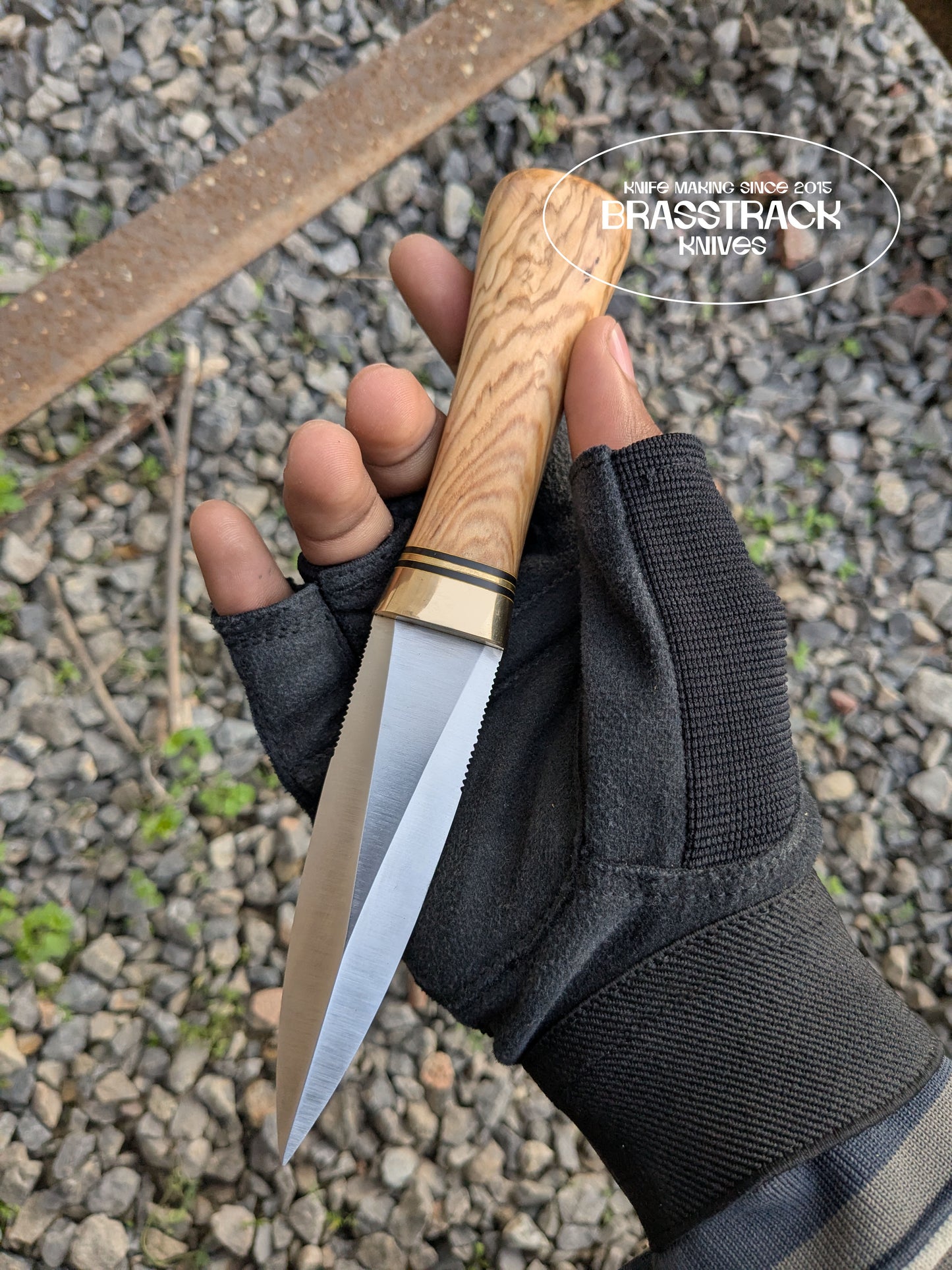 Guardian Model 02