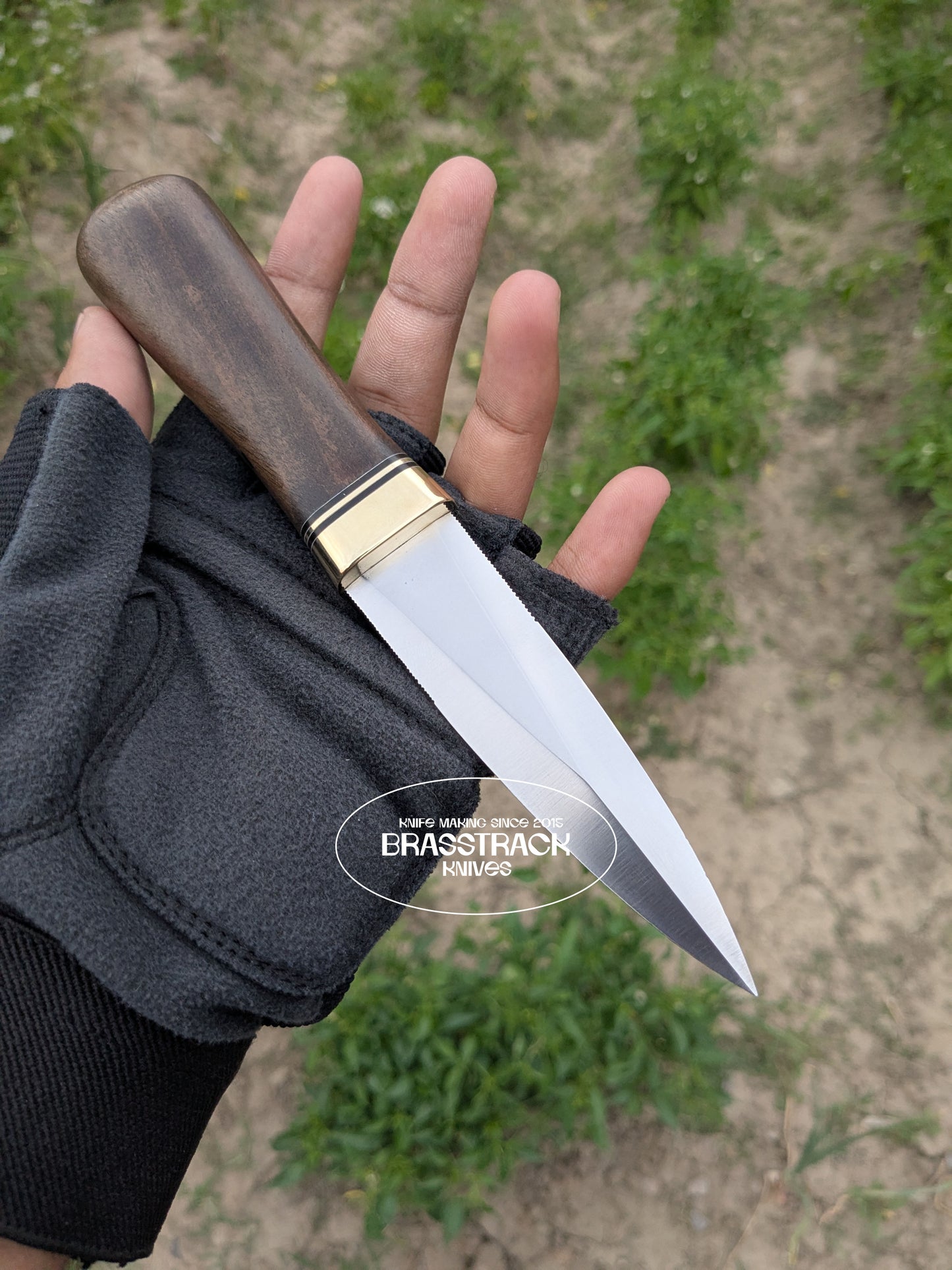Guardian - Walnut