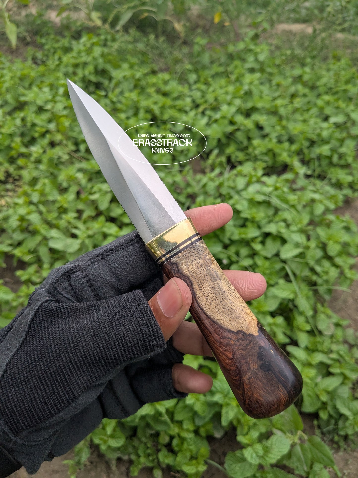 Guardian - Custom Edition