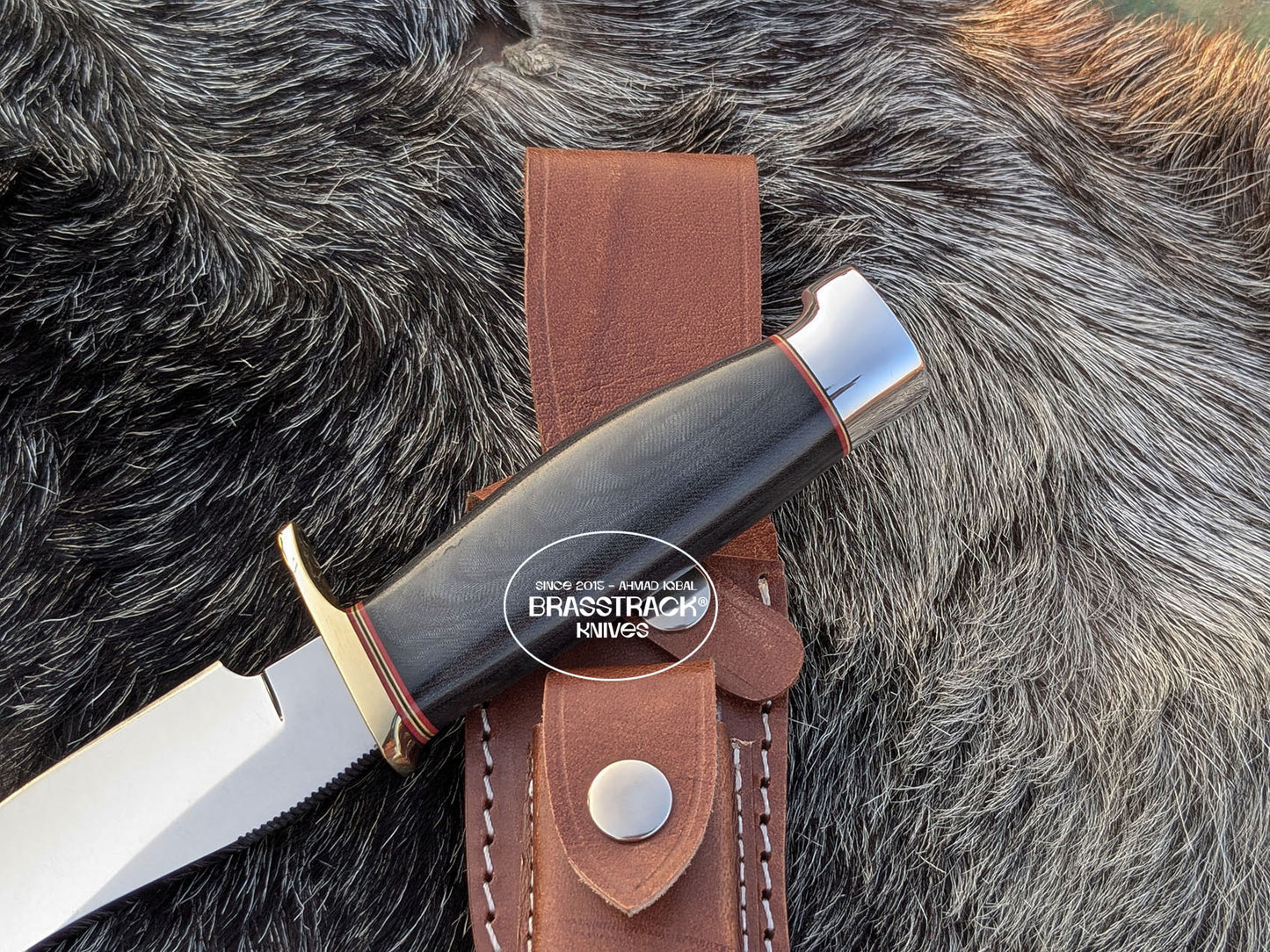 Model 22