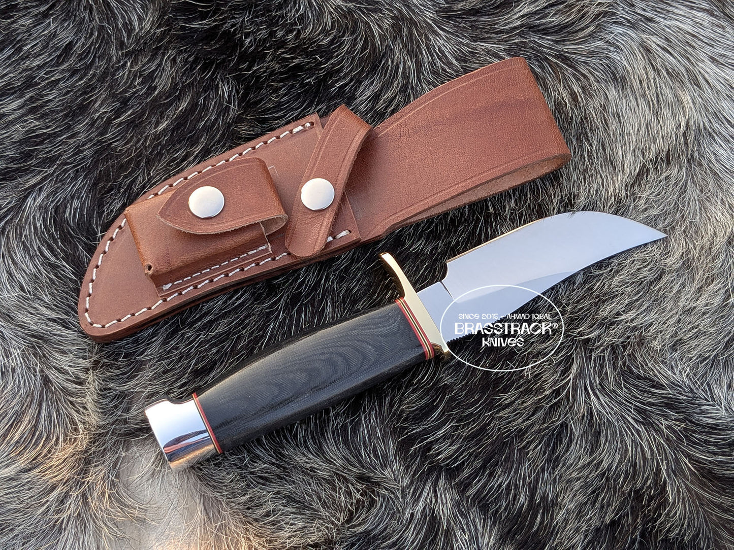 Model 22