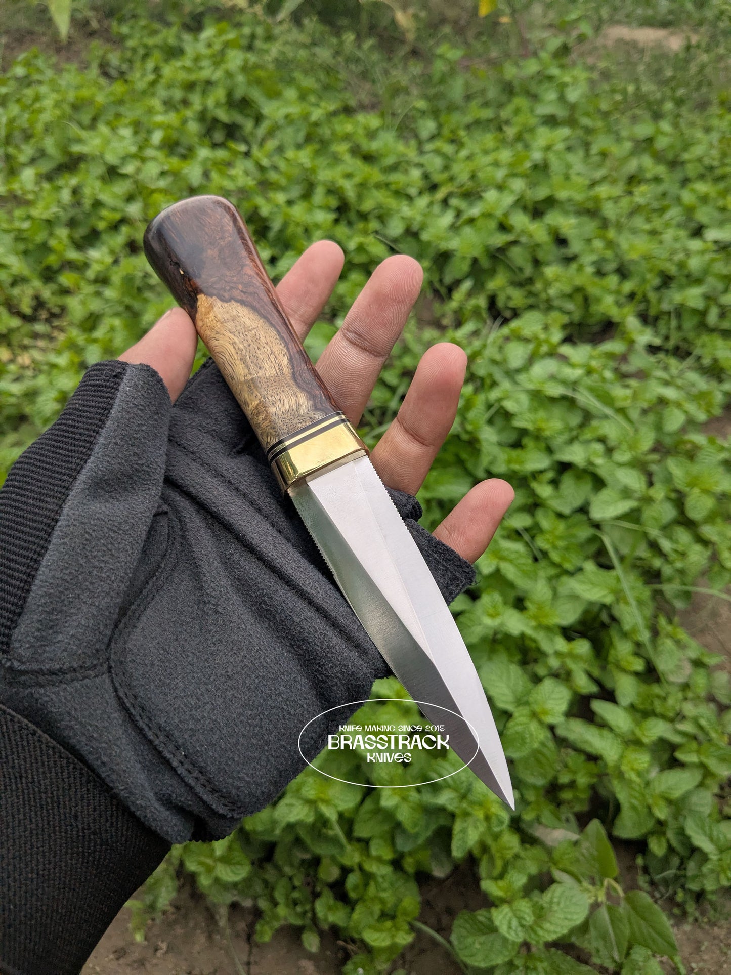 Guardian - Custom Edition